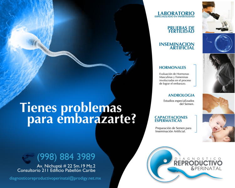 Asistencia para embarazo in vitro